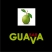 Гуава / Guava